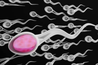 Comment garder le sperme pour tomber enceinte rapidement?