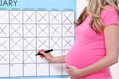 Calcul de la Semaine de Grossesse: Guide Complet pour le Suivi et l’Estimation du Temps de Gestation