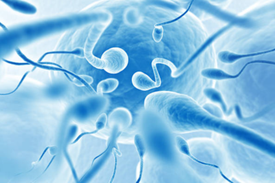 Quelle quantité de sperme Faut-il pour tomber enceinte ?